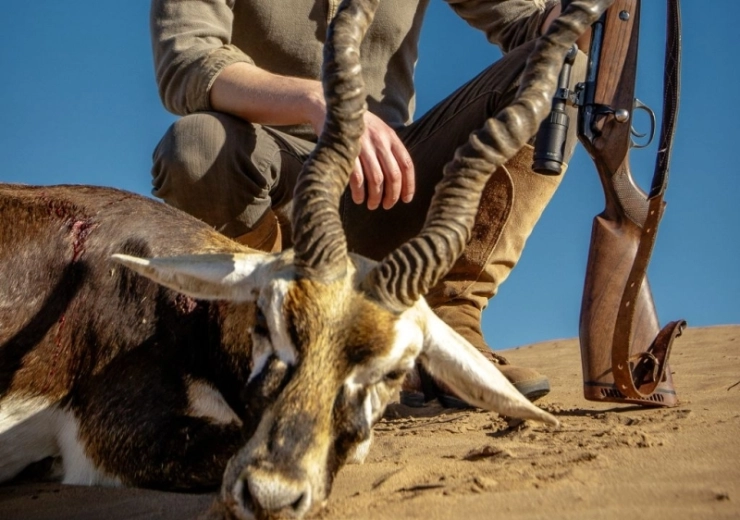 The Thrill of Blackbuck Antelope Hunting