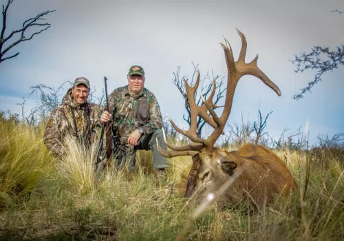 Exciting Red Stag Hunt at La Pampa Lodge